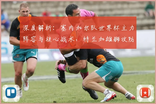 深度解析：塞内加尔队世界杯主力阵容与核心战术，特兰加雄狮攻防体系全览